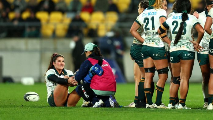 Wallaroos sudando sobre la aptitud de las estrellas principales
