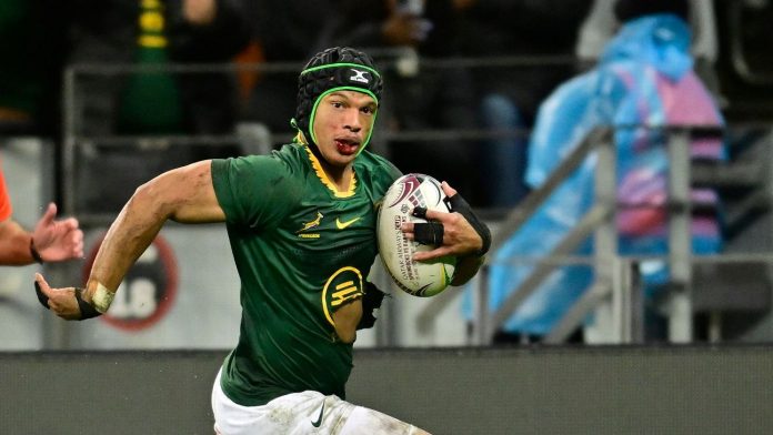 Cómo el Cabo Winelands, una pequeña región de Sudáfrica, produce una extraña cantidad de Springboks
